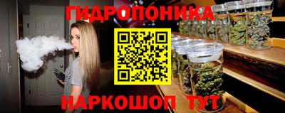 крисы Заводоуковск