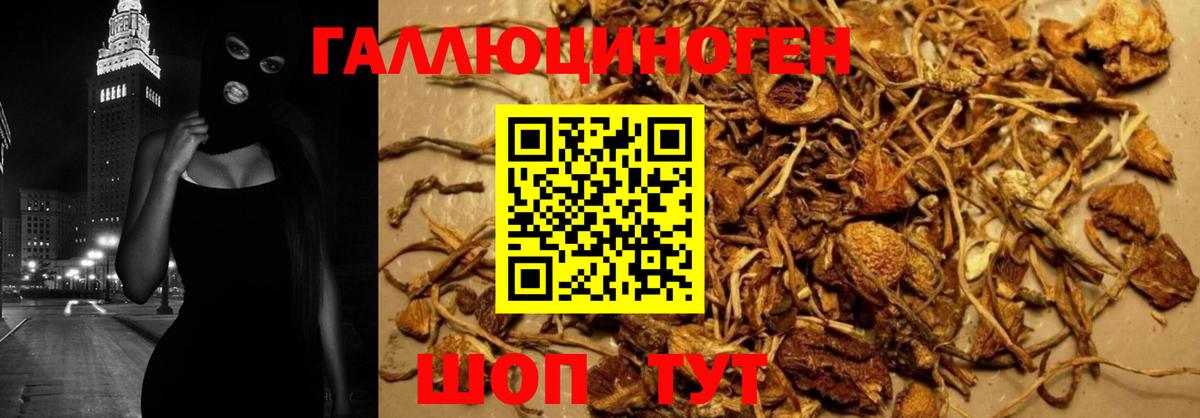 Псилоцибиновые грибы Psilocybe  хочу   Хабаровск  Вход с VPN 
