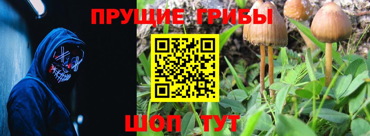 Галлюциногенные грибы мицелий Хабаровск